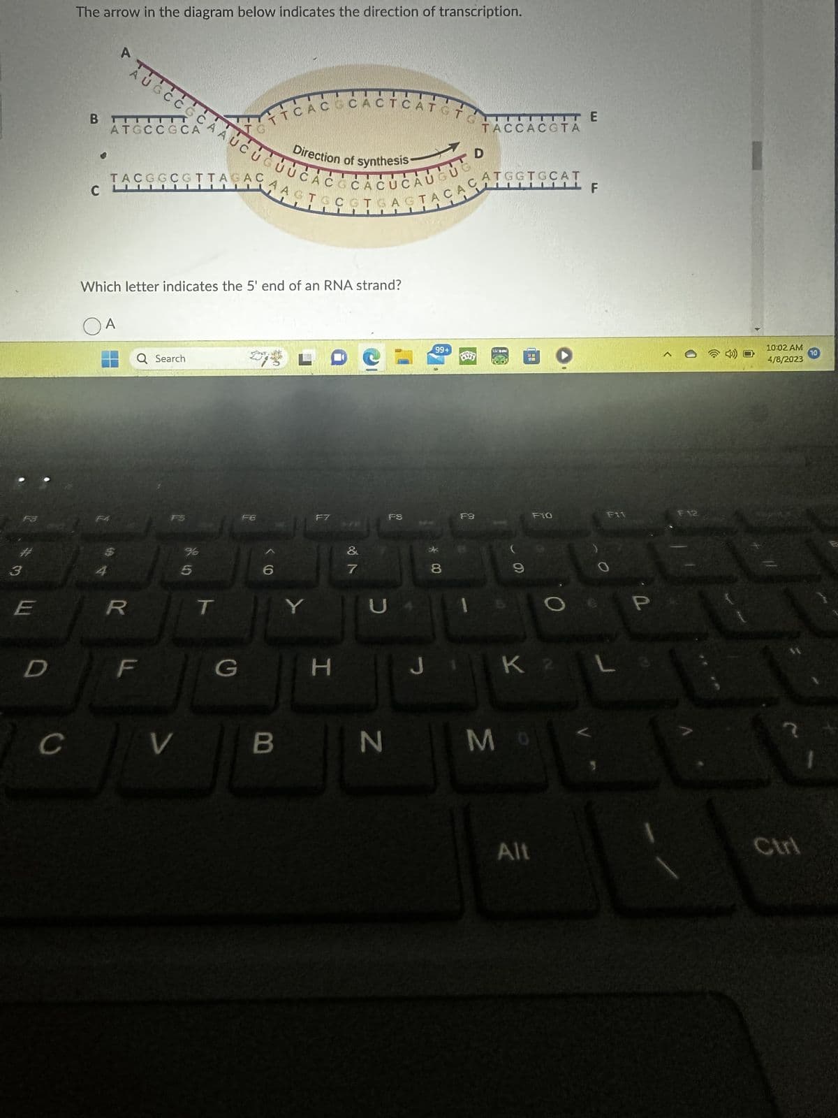 3
E
D
C
The arrow in the diagram below indicates the direction of transcription.
B
A
FFCAC CACTCAT
Direction of synthesis-
AUGCCCCAAUCUCUUCÉLÉRÉÚČÁÝU
ATEC
ATGCCGCA
4
TACGGCGTTAGAC
с
CL
OA
Which letter indicates the 5' end of an RNA strand?
R
Q Search
F
V
T
G
SATE
F6
6
B
Y
C
H
&
7
C
N
J
Foto
99+
8
F9
TACCACOTA
ATGGTGCAT
Sermont
9
30
54
MO
O
Alt
E
K2 L
F
P
<
F12
10:02 AM
4/8/2023
Ctrl
10