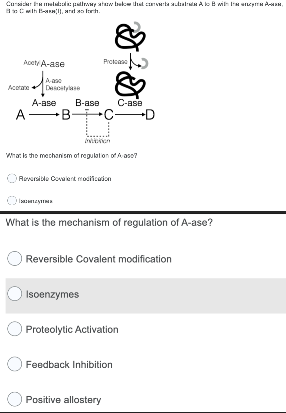 Consider the metabolic pathway show below that converts substrate A to B with the enzyme A-ase,
B to C with B-ase(I), and so forth.
Acetyl A-ase
Acetate
A-ase
Deacetylase
A-ase
B-ase
ABC-
Isoenzymes
Protease
Inhibition
What is the mechanism of regulation of A-ase?
Reversible Covalent modification
Isoenzymes
What is the mechanism of regulation of A-ase?
C-ase
Reversible Covalent modification
Proteolytic Activation
Feedback Inhibition
Positive allostery