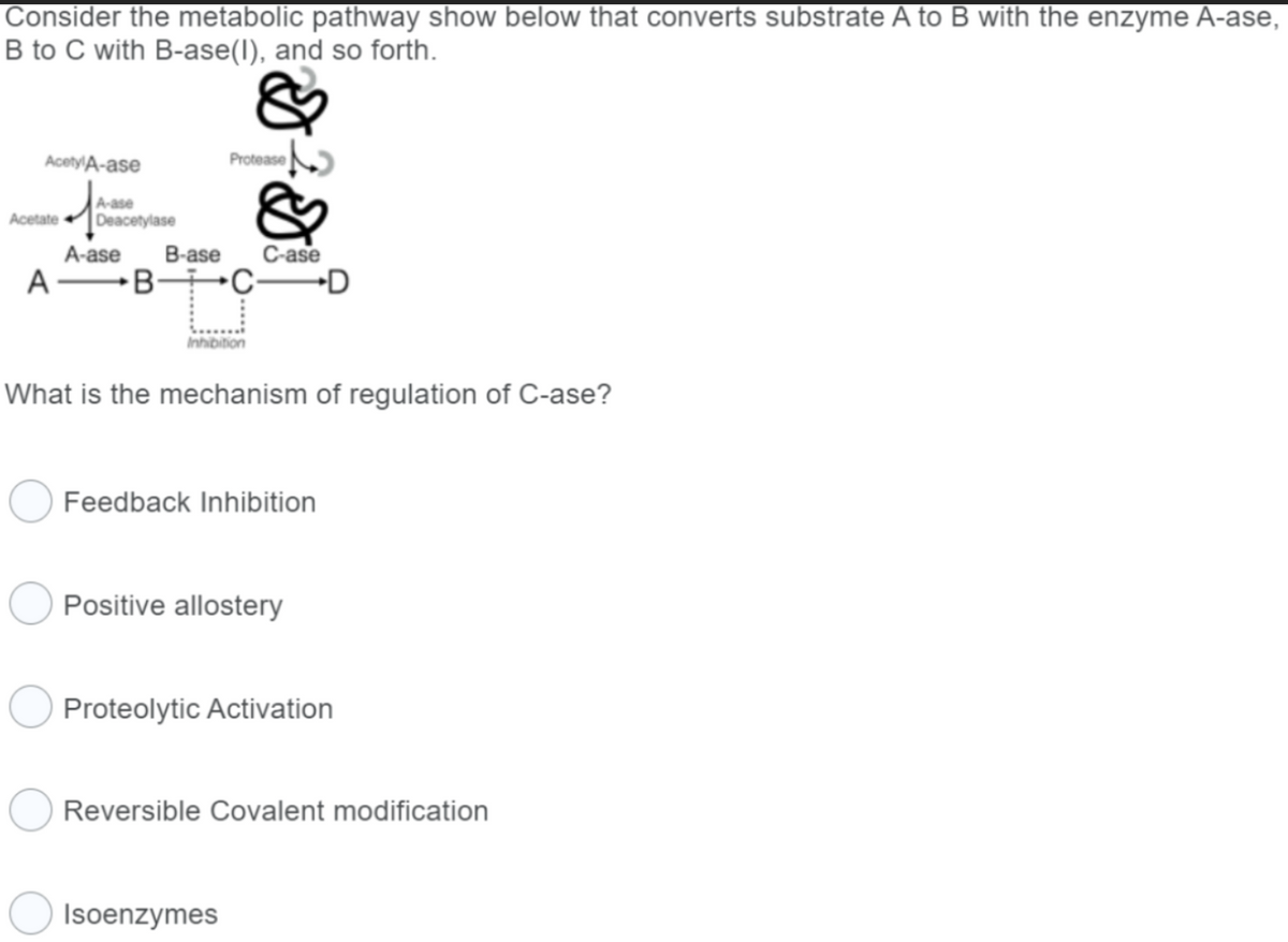 Consider the metabolic pathway show below that converts substrate A to B with the enzyme A-ase,
B to C with B-ase(I), and so forth.
AcetylA-ase
A-ase
Acetate Deacetylase
Protease
D & D
A-ase B-ase
ABCD
Inhibition
C-ase
What is the mechanism of regulation of C-ase?
Feedback Inhibition
Positive allostery
Isoenzymes
Proteolytic Activation
Reversible Covalent modification