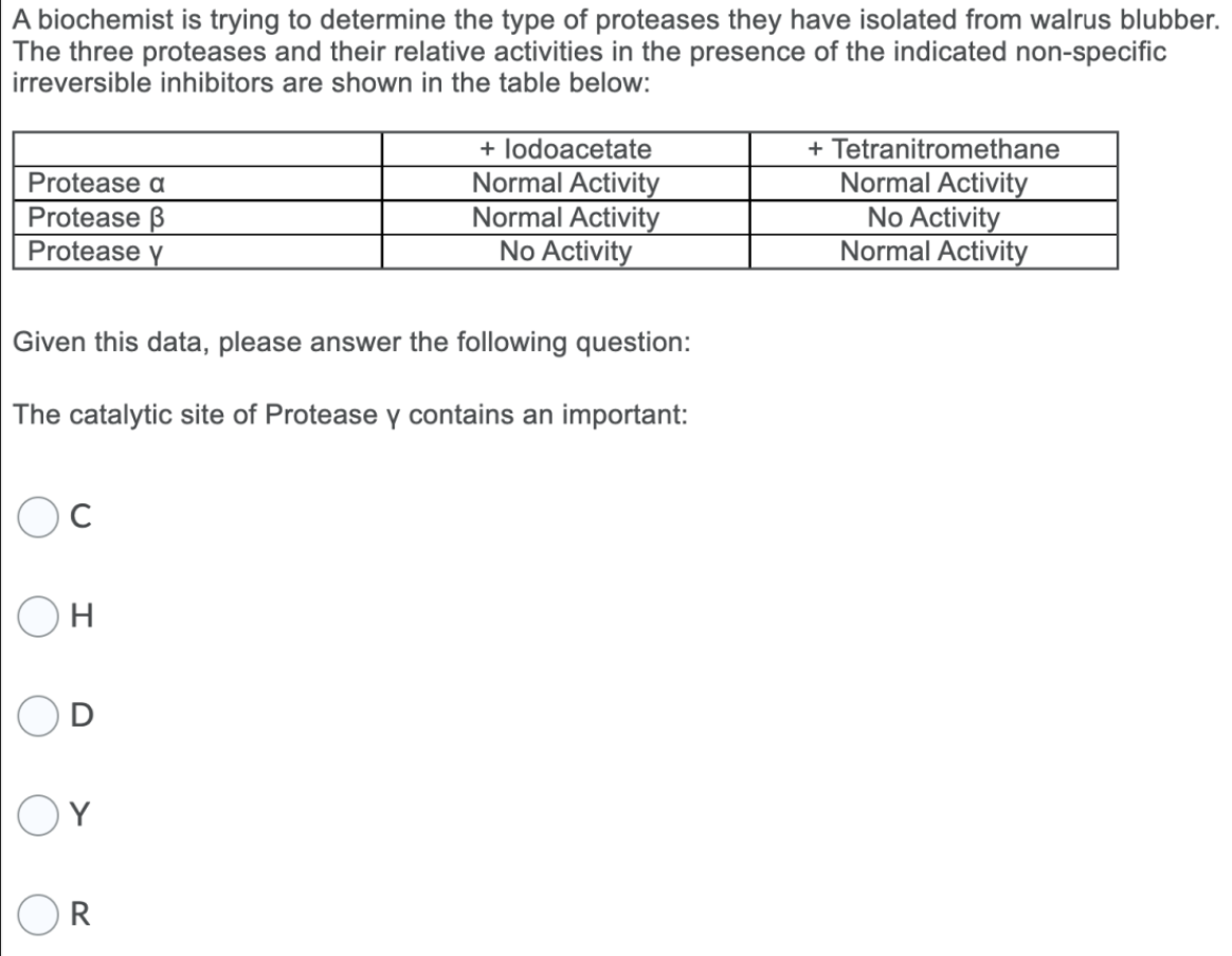 A biochemist is trying to determine the type of proteases they have isolated from walrus blubber.
The three proteases and their relative activities in the presence of the indicated non-specific
irreversible inhibitors are shown in the table below:
Protease a
Protease B
Protease y
Given this data, please answer the following question:
The catalytic site of Protease y contains an important:
с
H
Y
+ lodoacetate
Normal Activity
Normal Activity
No Activity
R
+ Tetranitromethane
Normal Activity
No Activity
Normal Activity