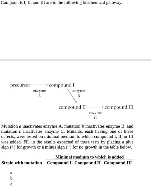 Compounds I, II, and III are in the following biochemical pathway:
precursor
compound I
enzyme
A
enzyme
B
compound II
► compound III
enzyme
Mutation a inactivates enzyme A, mutation b inactivates enzyme B, and
mutation c inactivates enzyme C. Mutants, each having one of these
defects, were tested on minimal medium to which compound I, II, or III
was added. Fill in the results expected of these tests by placing a plus
sign (+) for growth or a minus sign (-) for no growth in the table below.
Minimal medium to which is added
Strain with mutation Compound I Compound II Compound III
