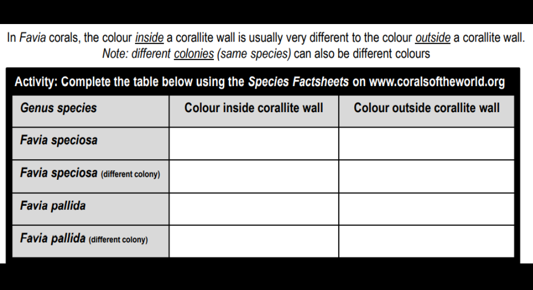 In Favia corals, the colour inside a corallite wall is usually very different to the colour outside a corallite wall.
Note: different colonies (same species) can also be different colours
Activity: Complete the table below using the Species Factsheets on www.coralsoftheworld.org
Genus species
Colour inside corallite wall
Colour outside corallite wall
Favia speciosa
Favia speciosa (different colony)
Favia pallida
Favia pallida (different colony)
