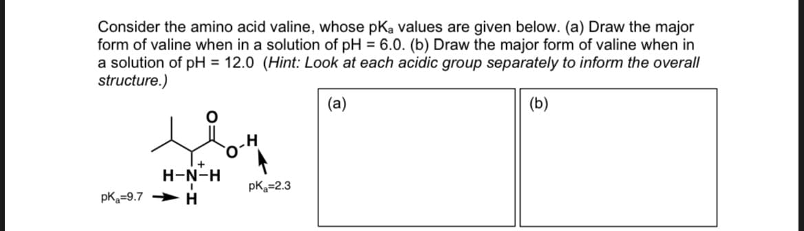 Consider the amino acid valine, whose pKa values are given below. (a) Draw the major
form of valine when in a solution of pH = 6.0. (b) Draw the major form of valine when in
a solution of pH = 12.0 (Hint: Look at each acidic group separately to inform the overall
structure.)
(a)
(b)
+
H-N-H
I
pKa 9.7 H
H'
pK₂=2.3