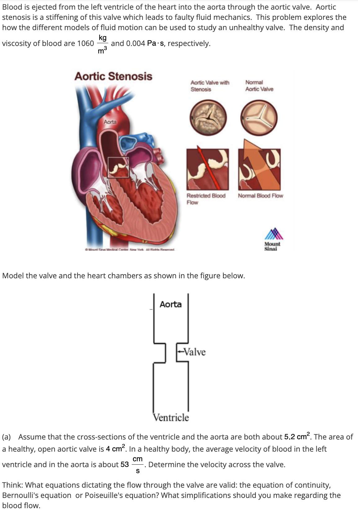 Blood is ejected from the left ventricle of the heart into the aorta through the aortic valve. Aortic
stenosis is a stiffening of this valve which leads to faulty fluid mechanics. This problem explores the
how the different models of fluid motion can be used to study an unhealthy valve. The density and
viscosity of blood are 1060 and 0.004 Pa·s, respectively.
kg
m³
Aortic Stenosis
Aortic Valve with
Stenosis
Normal
Aortic Valve
Aorta
Mount Sinai Medical Center New York Al Rights Reserved
Restricted Blood
Flow
Normal Blood Flow
Model the valve and the heart chambers as shown in the figure below.
Aorta
-Valve
Mount
Sinai
Ventricle
(a) Assume that the cross-sections of the ventricle and the aorta are both about 5.2 cm². The area of
a healthy, open aortic valve is 4 cm². In a healthy body, the average velocity of blood in the left
cm
ventricle and in the aorta is about 53 Determine the velocity across the valve.
S
.
Think: What equations dictating the flow through the valve are valid: the equation of continuity,
Bernoulli's equation or Poiseuille's equation? What simplifications should you make regarding the
blood flow.