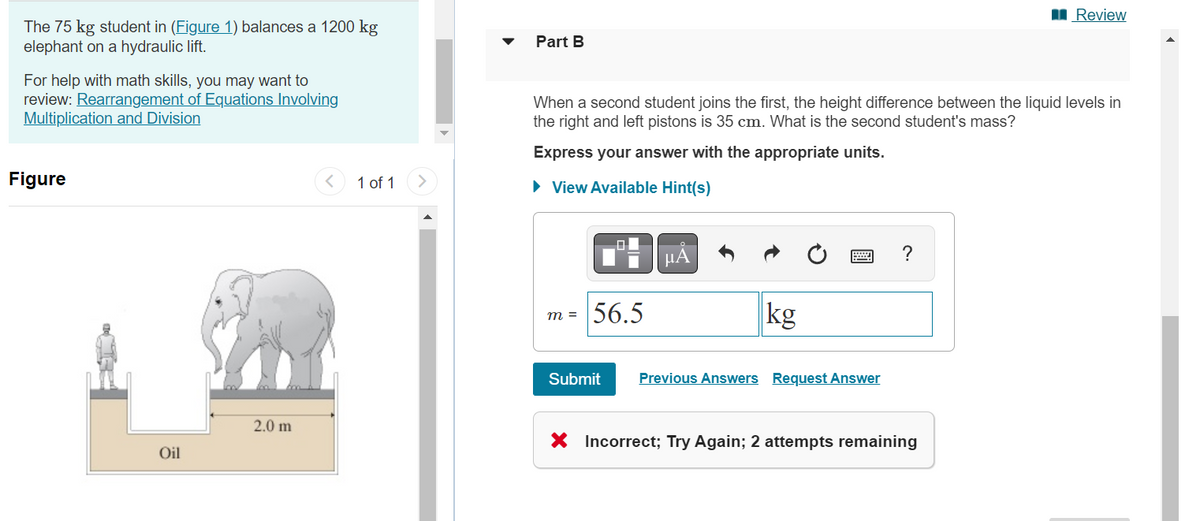 The 75 kg student in (Figure 1) balances a 1200 kg
elephant on a hydraulic lift.
For help with math skills, you may want to
review: Rearrangement of Equations Involving
Multiplication and Division
Figure
Oil
2.0 m
1 of 1
Part B
When a second student joins the first, the height difference between the liquid levels in
the right and left pistons is 35 cm. What is the second student's mass?
Express your answer with the appropriate units.
► View Available Hint(s)
m =
56.5
Submit
μA
kg
Previous Answers Request Answer
?
Review
X Incorrect; Try Again; 2 attempts remaining