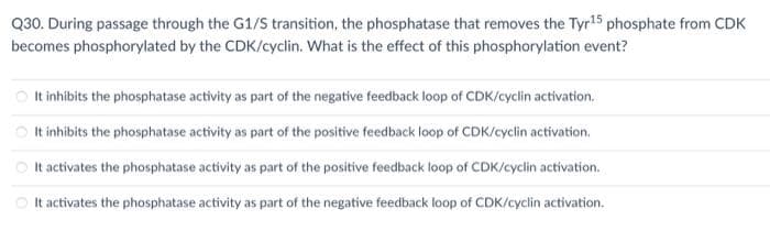 Q30. During passage through the G1/S transition, the phosphatase that removes the Tyr15 phosphate from CDK
becomes phosphorylated by the CDK/cyclin. What is the effect of this phosphorylation event?
O It inhibits the phosphatase activity as part of the negative feedback loop of CDK/cyclin activation.
It inhibits the phosphatase activity as part of the positive feedback loop of CDK/cyclin activation.
It activates the phosphatase activity as part of the positive feedback loop of CDK/cyclin activation.
It activates the phosphatase activity as part of the negative feedback loop of CDK/cyclin activation.
