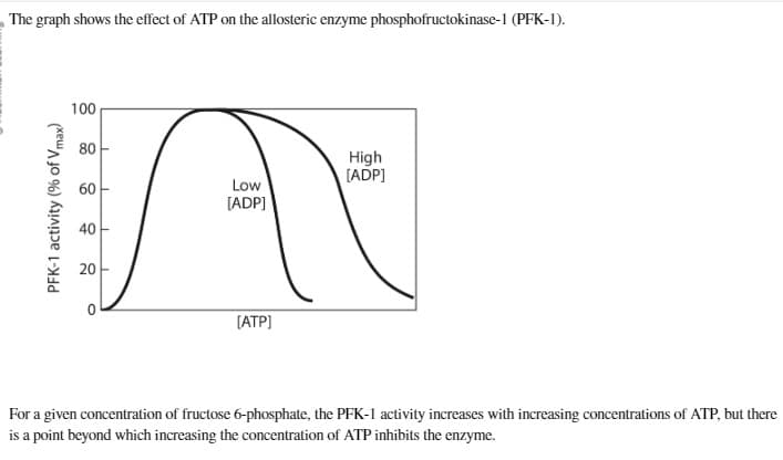 The graph shows the effect of ATP on the allosteric enzyme phosphofructokinase-1 (PFK-1).
PFK-1 activity (% of Vmax)
100
80
60
40
20
0
Low
[ADP]
[ATP]
High
[ADP]
For a given concentration of fructose 6-phosphate, the PFK-1 activity increases with increasing concentrations of ATP, but there
is a point beyond which increasing the concentration of ATP inhibits the enzyme.