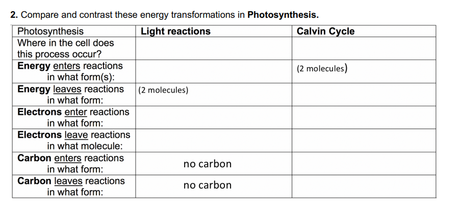 2. Compare and contrast these energy transformations in Photosynthesis.
Light reactions
Photosynthesis
Where in the cell does
this process occur?
Energy enters reactions
in what form(s):
Energy leaves reactions
in what form:
Electrons enter reactions
in what form:
Electrons leave reactions
in what molecule:
Carbon enters reactions
in what form:
Carbon leaves reactions
in what form:
(2 molecules)
no carbon
no carbon
Calvin Cycle
(2 molecules)
