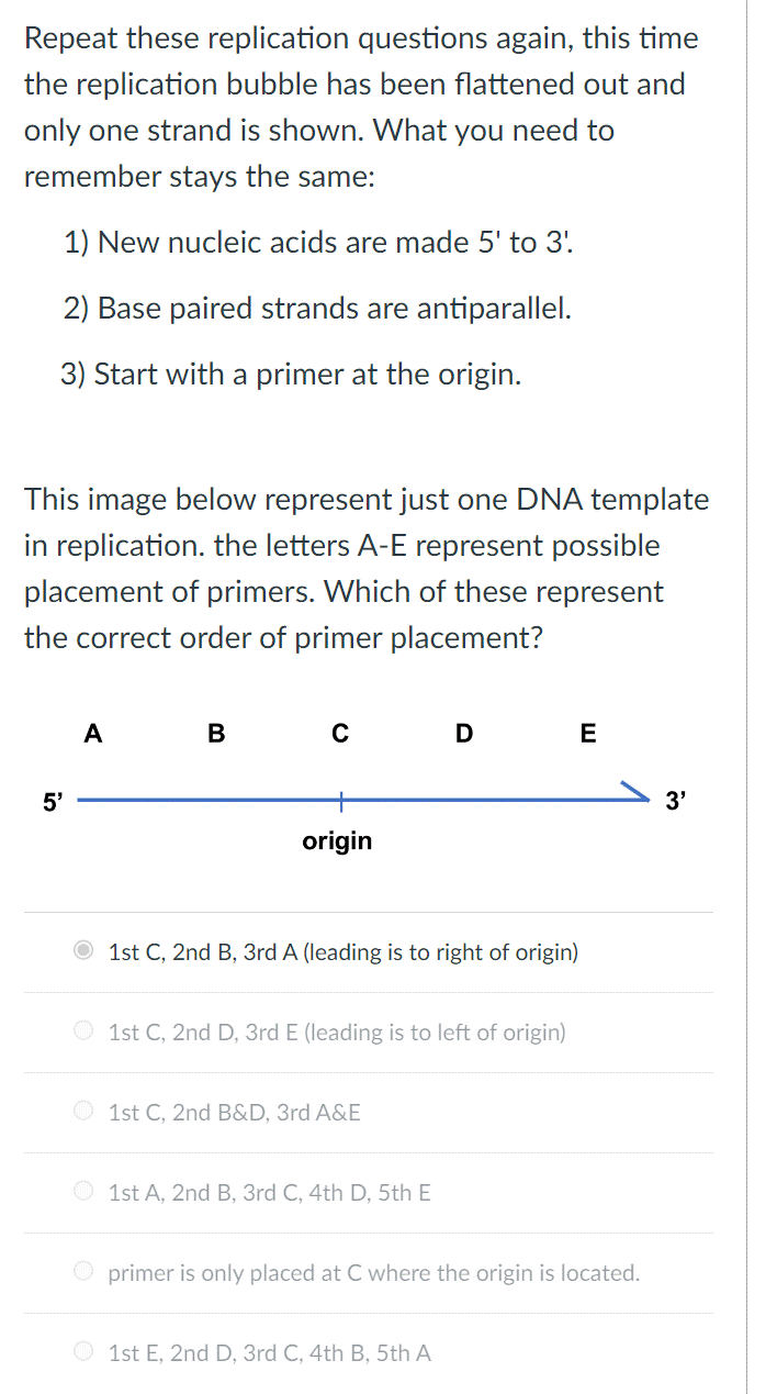 Repeat these replication questions again, this time
the replication bubble has been flattened out and
only one strand is shown. What you need to
remember stays the same:
1) New nucleic acids are made 5' to 3'
2) Base paired strands are antiparallel.
3) Start with a primer at the origin.
This image below represent just one DNA template
in replication. the letters A-E represent possible
placement of primers. Which of these represent
the correct order of primer placement?
5'
A
B
с
origin
1st C, 2nd B, 3rd A (leading is to right of origin)
Ⓒ 1st C, 2nd D, 3rd E (leading is to left of origin)
Ⓒ1st C, 2nd B&D, 3rd A&E
D
1st A, 2nd B, 3rd C, 4th D, 5th E
Ⓒ 1st E, 2nd D, 3rd C, 4th B, 5th A
E
O primer is only placed at C where the origin is located.
3'