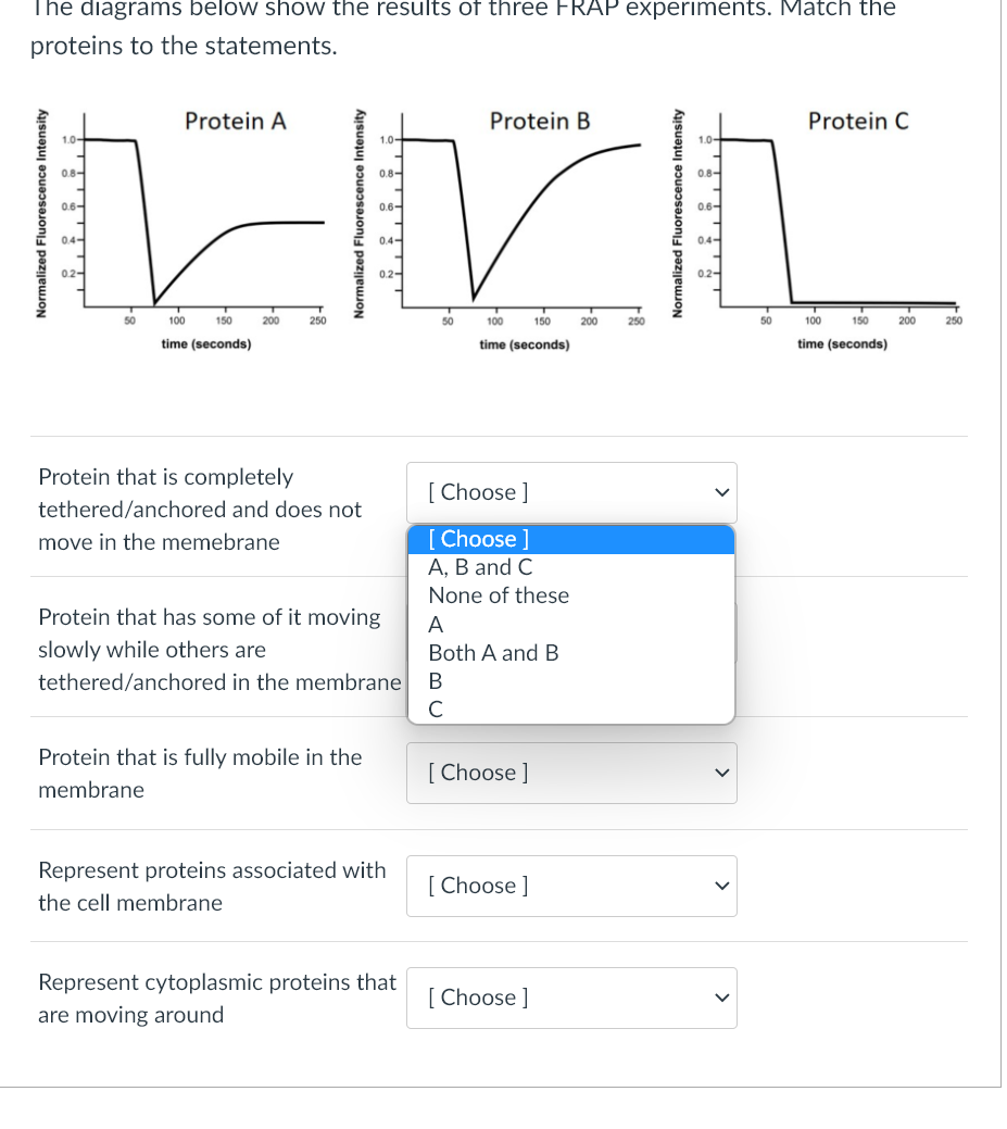 The diagrams below show the results of three FRAP experiments. Match the
proteins to the statements.
Protein B
1.0
0.8-
0.6-
EVL
0.4-
0.2-
50
100
150
time (seconds)
0.2-
50
Protein A
100
150
time (seconds)
200
250
Protein that is completely
tethered/anchored and does not
move in the memebrane
Protein that has some of it moving
slowly while others are
tethered/anchored in the membrane
Protein that is fully mobile in the
membrane
Represent proteins associated with
the cell membrane
Represent cytoplasmic proteins that
are moving around
[Choose ]
[Choose ]
A, B and C
None of these
A
Both A and B
B
с
[Choose ]
[Choose ]
[Choose ]
200
250
50
Protein C
100
150
time (seconds)
T
200
250