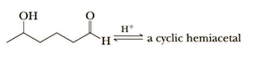 OH
H+
- H
a cyclic hemiacetal
