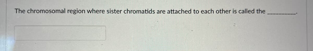 The chromosomal region where sister chromatids are attached to each other is called the