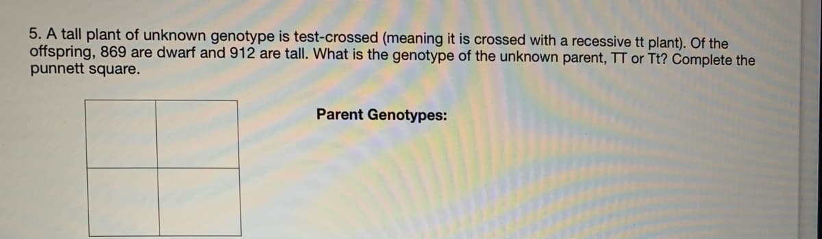 5. A tall plant of unknown genotype is test-crossed (meaning it is crossed with a recessive tt plant). Of the
offspring, 869 are dwarf and 912 are tall. What is the genotype of the unknown parent, TT or Tt? Complete the
punnett square.
Parent Genotypes:
