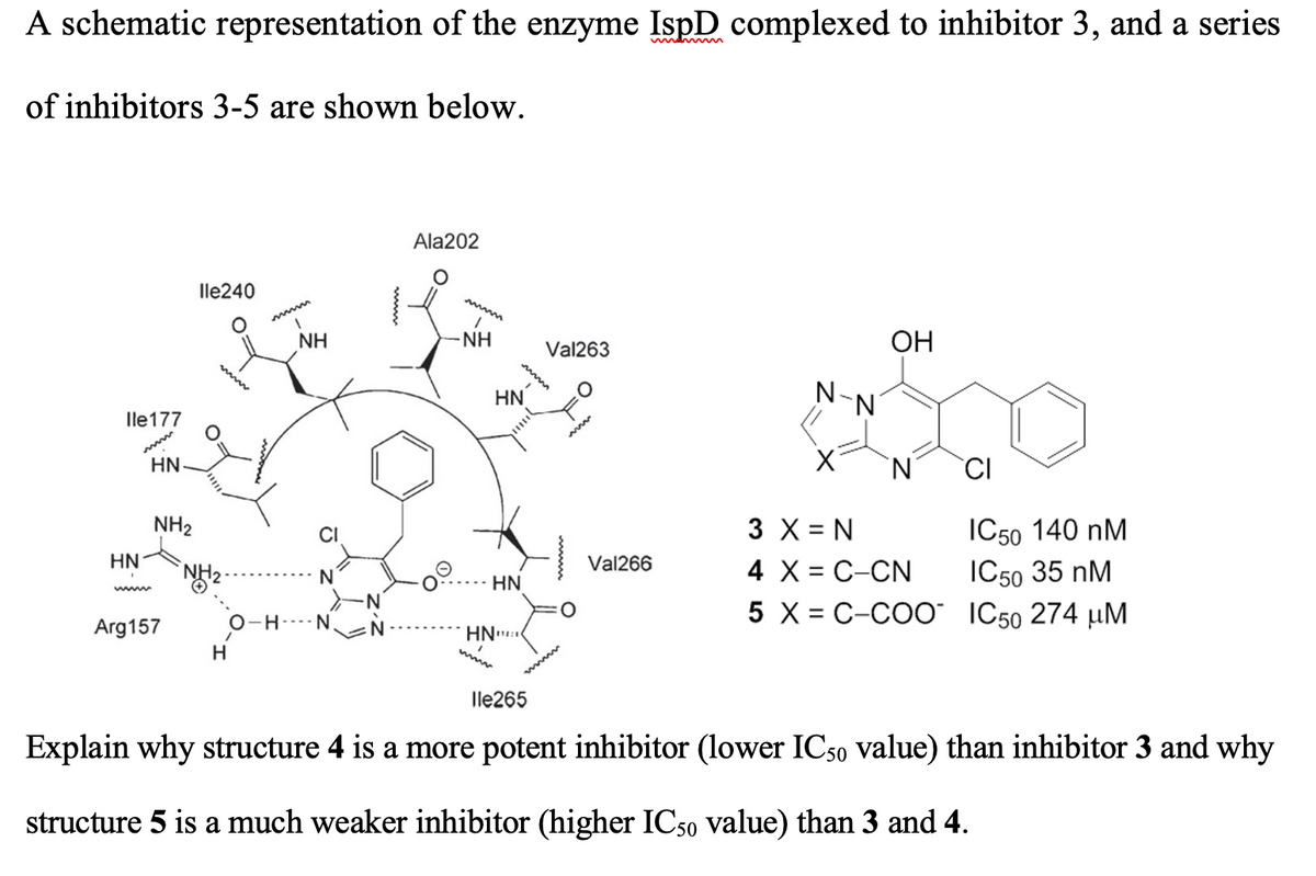 A schematic representation of the enzyme IspD complexed to inhibitor 3, and a series
of inhibitors 3-5 are shown below.
Ala202
lle240
mwww
NH
NH
Val263
ОН
www
HN
N-
lle177
HN
'N'
CI
3 X = N
4 X = C-CN
5 X = C-COO IC50 274 µM
IC50 140 nM
IC50 35 nM
NH2
HN
Val266
N
-N
O-H---- N
HN
%3D
Arg157
HN
wwww
lle265
Explain why structure 4 is a more potent inhibitor (lower IC50 value) than inhibitor 3 and why
structure 5 is a much weaker inhibitor (higher IC50 value) than 3 and 4.
