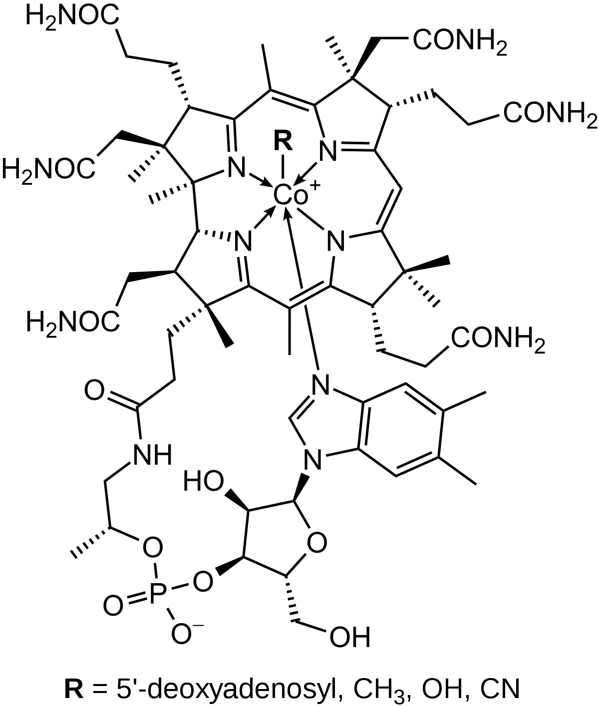 H2NOC
CONH2
CONH2
R
N=
H2NOC
Co
'N
N.
H2NOC
.CONH2
NH
НО
O.
O=P-
ОН
R = 5'-deoxyadenosyl, CH3, OH, CN
