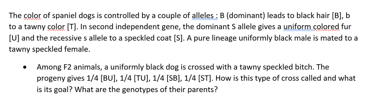 The color of spaniel dogs is controlled by a couple of alleles : B (dominant) leads to black hair [B], b
to a tawny color [T]. In second independent gene, the dominant S allele gives a uniform colored fur
[U] and the recessive s allele to a speckled coat [S]. A pure lineage uniformly black male is mated to a
tawny speckled female.
Among F2 animals, a uniformly black dog is crossed with a tawny speckled bitch. The
progeny gives 1/4 [BU], 1/4 [TU], 1/4 [SB], 1/4 [ST]. How is this type of cross called and what
is its goal? What are the genotypes of their parents?