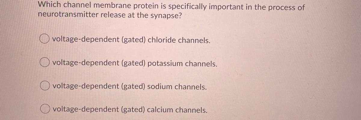 Which channel membrane protein is specifically important in the process of
neurotransmitter release at the synapse?
voltage-dependent (gated) chloride channels.
voltage-dependent (gated) potassium channels.
voltage-dependent (gated) sodium channels.
O voltage-dependent (gated) calcium channels.
