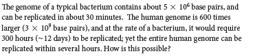 The genome of a typical bacterium contains about 5 x 106 base pairs, and
can be replicated in about 30 minutes. The human genome is 600 times
larger (3 × 10° base pairs), and at the rate of a bacterium, it would require
300 hours (~12 days) to be replicated; yet the entire human genome can be
replicated within several hours. How is this possible?
