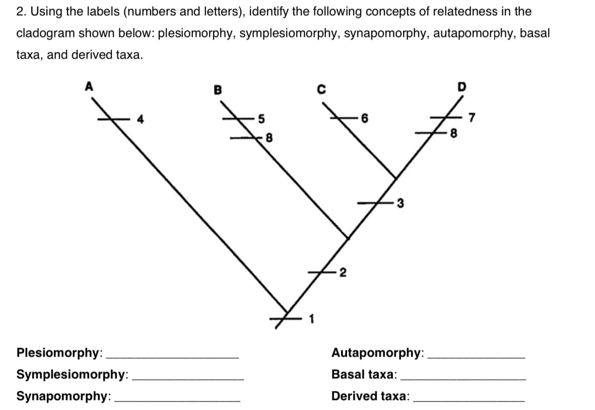 2. Using the labels (numbers and letters), identify the following concepts of relatedness in the
cladogram shown below: plesiomorphy, symplesiomorphy, synapomorphy, autapomorphy, basal
taxa, and derived taxa.
A
B
D
5
8.
3
Plesiomorphy:
Autapomorphy:
Symplesiomorphy:
Basal taxa:
Synapomorphy: .
Derived taxa:
