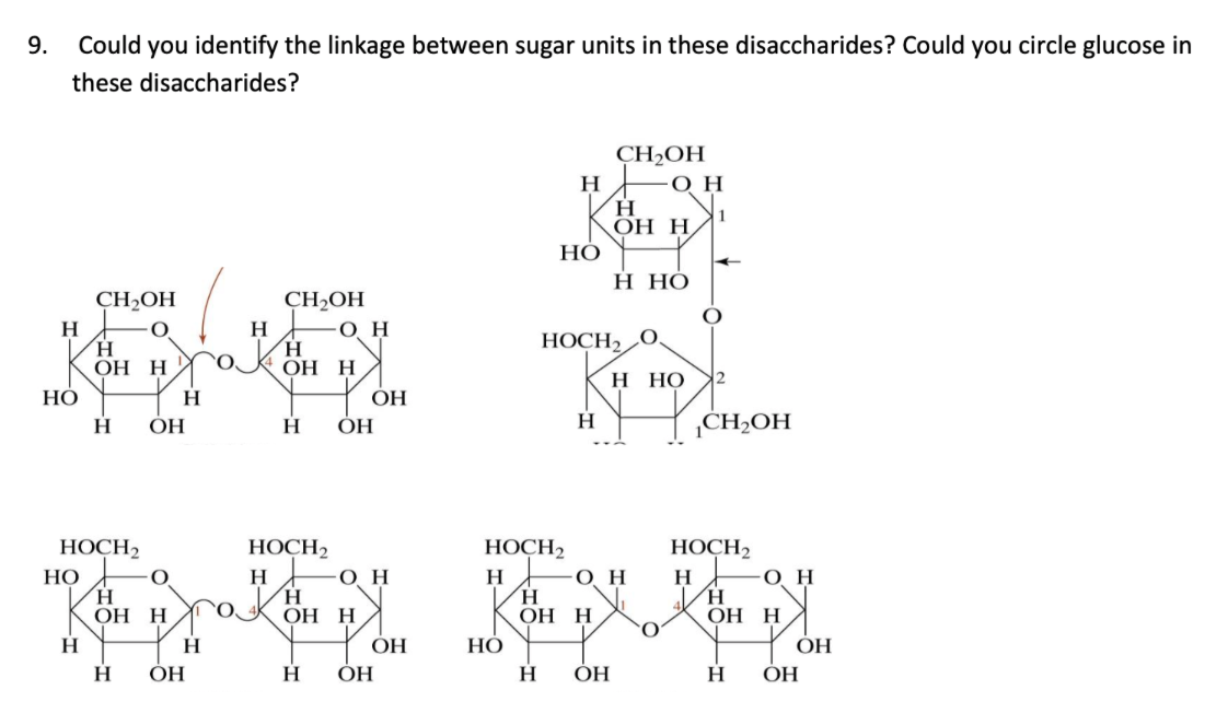 9.
Could
you identify the linkage between sugar units in these disaccharides? Could you circle glucose in
these disaccharides?
CH2OH
- ОН
H.
О Н,
H
НО
Н Но
CH2OH
CH2OH
H
H,
ОН Н
H
он
НОСН, О
ОН Н
Н Но
НО
ОН
H.
ОН
H.
ОН
¡CH2OH
НОСН,
НОСН2
НОСН>
HOCH2
НО
он
он
H
H,
ОН Н
H.
он
H.
ОН Н
H.
ОН Н
ОН Н
H
H
ОН
НО
ОН
H.
ОН
ОН
ОН
H
ОН
