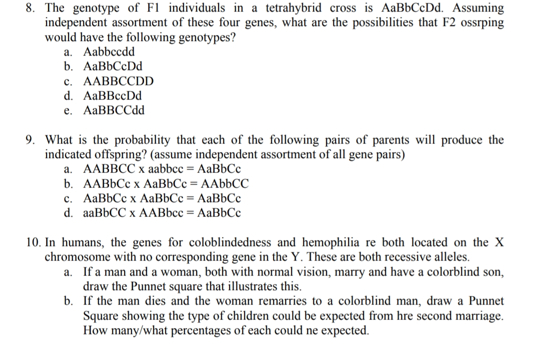 8. The genotype of F1 individuals in a tetrahybrid cross is AaBbCcDd. Assuming
independent assortment of these four genes, what are the possibilities that F2 ossrping
would have the following genotypes?
а. Aabbccdd
b. AaBbСcDd
с. ААВВСCDD
d. AaBBccDd
е. AаBBCСdd
9. What is the probability that each of the following pairs of parents will produce the
indicated offspring? (assume independent assortment of all gene pairs)
а. ААВВССх bbcc 3D AаBbСс
b. AАBbСс х АаBbСс %3D АAЬЬСС
с. АаBbСс х АаBbСс 3 АаBbСс
d. aaBbCС х AАBbсс —D AаBbСс
10. In humans, the genes for coloblindedness and hemophilia re both located on the X
chromosome with no corresponding gene in the Y. These are both recessive alleles.
a. If a man and a woman, both with normal vision, marry and have a colorblind son,
draw the Punnet square that illustrates this.
b. If the man dies and the woman remarries to a colorblind man, draw a Punnet
Square showing the type of children could be expected from hre second marriage.
How many/what percentages of each could ne expected.
