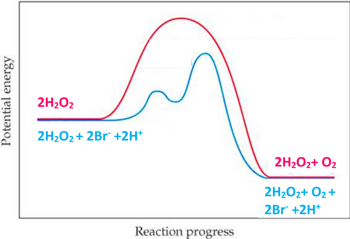 Potential energy
2H₂O2
2H₂O₂ + 2Br +2H+
Reaction progress
2H₂O2+ O₂
2H₂O₂+ O₂ +
2Br +2H+