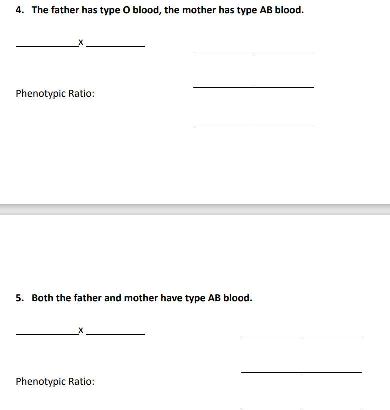 4. The father has type O blood, the mother has type AB blood.
Phenotypic Ratio:
5. Both the father and mother have type AB blood.
Phenotypic Ratio: