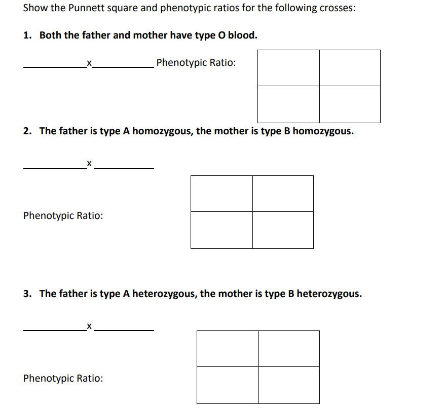 Show the Punnett square and phenotypic ratios for the following crosses:
1. Both the father and mother have type O blood.
Phenotypic Ratio:
2. The father is type A homozygous, the mother is type B homozygous.
X
Phenotypic Ratio:
3. The father is type A heterozygous, the mother is type B heterozygous.
Phenotypic Ratio: