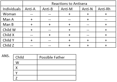 Individuals Anti-A
Woman
Man A
Man B
Child W
Child X
Child Y
Child Z
ANS.
Child
W
X
Y
Z
+
+
+
+
Anti-B
+
1
+
Reactions to Antisera
Anti-M
+
1
Possible Father
+
+
+
+
+
Anti-N
+
+
+
+
Anti-Rh
+
+
+
+
+
+