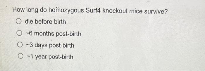 How long do homozygous Surf4 knockout mice survive?
O die before birth
-6 months post-birth
-3 days post-birth
O-1 year post-birth