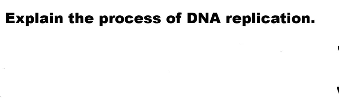 Explain the process of DNA replication.
