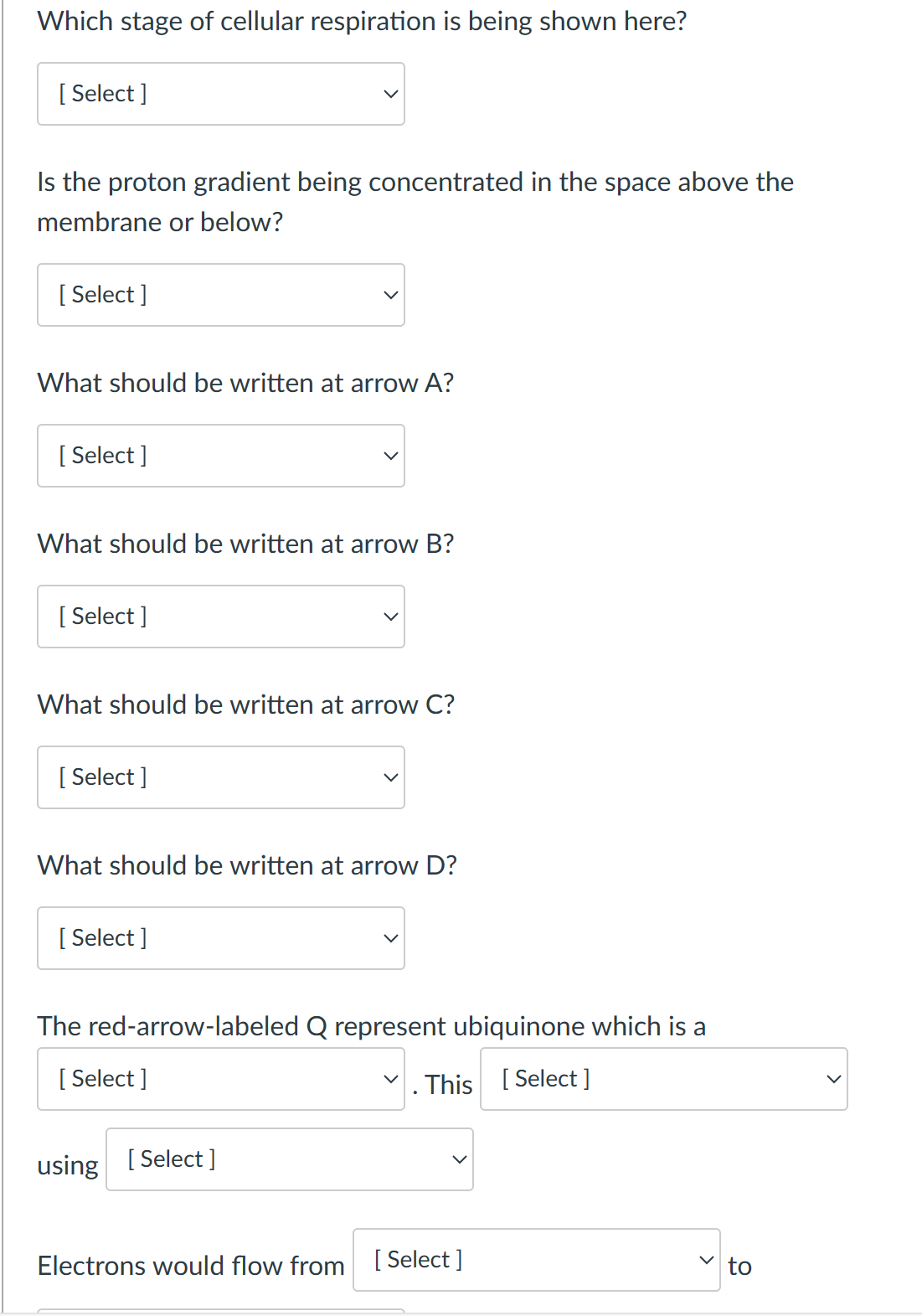 Which stage of cellular respiration is being shown here?
[Select]
Is the proton gradient being concentrated in the space above the
membrane or below?
[Select]
What should be written at arrow A?
[Select]
What should be written at arrow B?
[Select]
What should be written at arrow C?
[Select]
What should be written at arrow D?
[Select]
The red-arrow-labeled Q represent ubiquinone which is a
. This [Select]
[Select]
using [Select]
Electrons would flow from [Select]
to