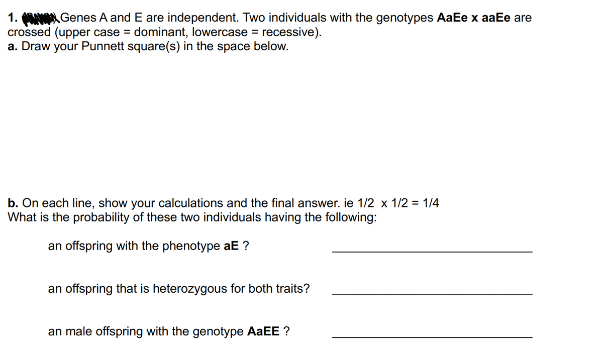 1. Genes A and E are independent. Two individuals with the genotypes AaEe x aaEe are
crossed (upper case = dominant, lowercase = recessive).
a. Draw your Punnett square(s) in the space below.
b. On each line, show your calculations and the final answer. ie 1/2 x 1/2 = 1/4
What is the probability of these two individuals having the following:
an offspring with the phenotype aE ?
an offspring that is heterozygous for both traits?
an male offspring with the genotype AaEE ?