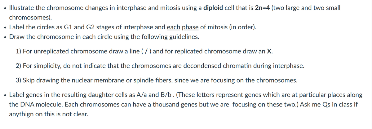 ●
●
Illustrate the chromosome changes in interphase and mitosis using a diploid cell that is 2n=4 (two large and two small
chromosomes).
Label the circles as G1 and G2 stages of interphase and each phase of mitosis (in order).
Draw the chromosome in each circle using the following guidelines.
1) For unreplicated chromosome draw a line (/) and for replicated chromosome draw an X.
2) For simplicity, do not indicate that the chromosomes are decondensed chromatin during interphase.
3) Skip drawing the nuclear membrane or spindle fibers, since we are focusing on the chromosomes.
Label genes in the resulting daughter cells as A/a and B/b. (These letters represent genes which are at particular places along
the DNA molecule. Each chromosomes can have a thousand genes but we are focusing on these two.) Ask me Qs in class if
anythign on this is not clear.