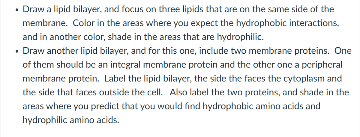 Draw a lipid bilayer, and focus on three lipids that are on the same side of the
membrane. Color in the areas where you expect the hydrophobic interactions,
and in another color, shade in the areas that are hydrophilic.
Draw another lipid bilayer, and for this one, include two membrane proteins. One
of them should be an integral membrane protein and the other one a peripheral
membrane protein. Label the lipid bilayer, the side the faces the cytoplasm and
the side that faces outside the cell. Also label the two proteins, and shade in the
areas where you predict that you would find hydrophobic amino acids and
hydrophilic amino acids.