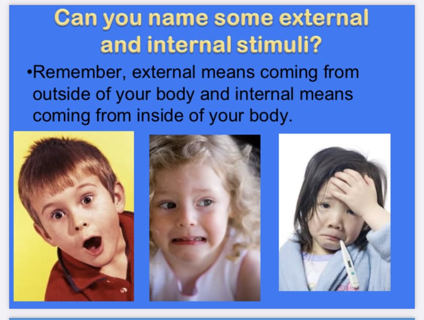 Can you name some external
and internal stimuli?
•Remember, external means coming from
outside of your body and internal means
coming from inside of your body.
