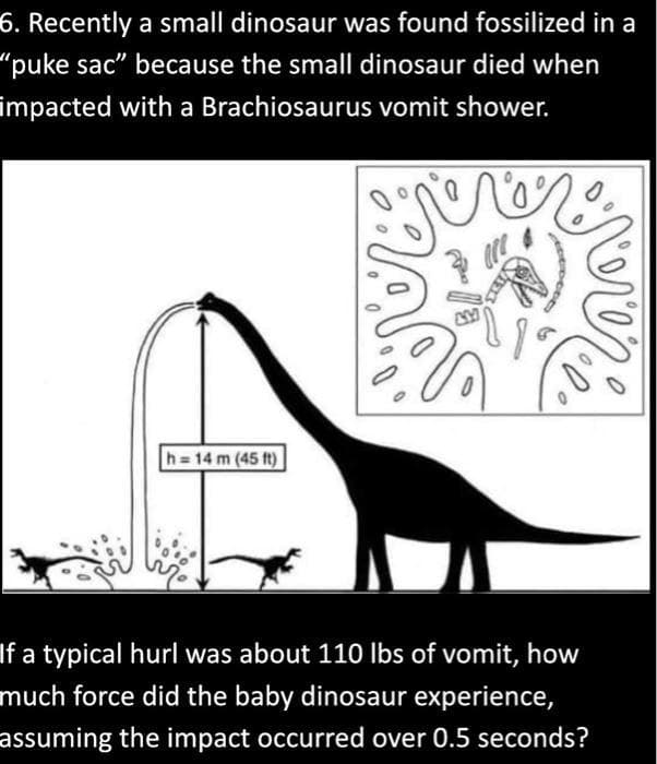 6. Recently a small dinosaur was found fossilized in a
"puke sac" because the small dinosaur died when
impacted with a Brachiosaurus vomit shower.
ne
h=14 m (45 ft)
porte
If a typical hurl was about 110 lbs of vomit, how
much force did the baby dinosaur experience,
assuming the impact occurred over 0.5 seconds?