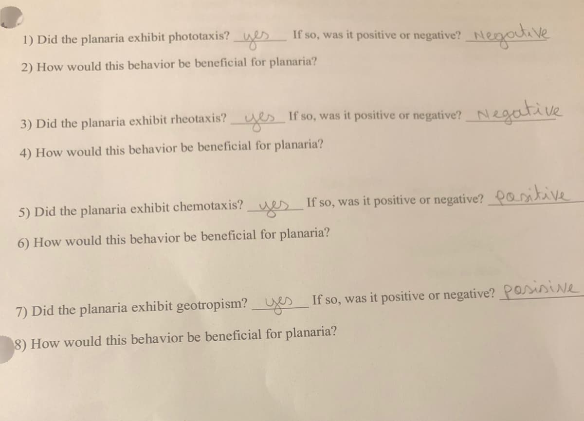 1) Did the planaria exhibit phototaxis?_es
Hogative
If so, was it positive or negative?
2) How would this behavior be beneficial for planaria?
3) Did the planaria exhibit rheotaxis?yes If so, was it positive or negative? Negative
4) How would this behavior be beneficial for planaria?
5) Did the planaria exhibit chemotaxis? es If so, was it positive or negative? osiive
6) How would this behavior be beneficial for planaria?
7) Did the planaria exhibit geotropism?_Ues If so, was it positive or negative? Posisve
8) How would this behavior be beneficial for planaria?
