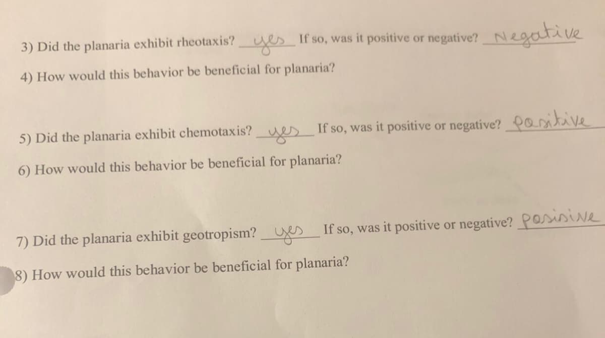 3) Did the planaria exhibit rheotaxis? yes If so, was it positive or negative?Negative
4) How would this behavior be beneficial for planaria?
5) Did the planaria exhibit chemotaxis? es If so, was it positive or negative? ositve
6) How would this behavior be beneficial for planaria?
7) Did the planaria exhibit geotropism?Ues If so, was it positive or negative? _Possive
8) How would this behavior be beneficial for planaria?

