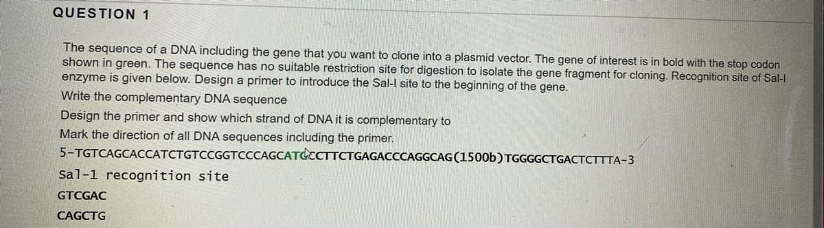 QUESTION 1
The sequence of a DNA including the gene that you want to clone into a plasmid vector. The gene of interest is in bold with the stop codon
shown in green. The sequence has no suitable restriction site for digestion to isolate the gene fragment for cloning. Recognition site of Sal-I
enzyme is given below. Design a primer to introduce the Sal-l site to the beginning of the gene.
Write the complementary DNA sequence
Design the primer and show which strand of DNA it is complementary to
Mark the direction of all DNA sequences including the primer.
5-TGTCAGCACCATCTGTCCGGTCCCAGCATCCCTTCTGAGACCCAGGCAG(1500b)TGGGGCTGACTCTTTA-3
Sal-1 recognition site
GTCGAC
CAGCTG

