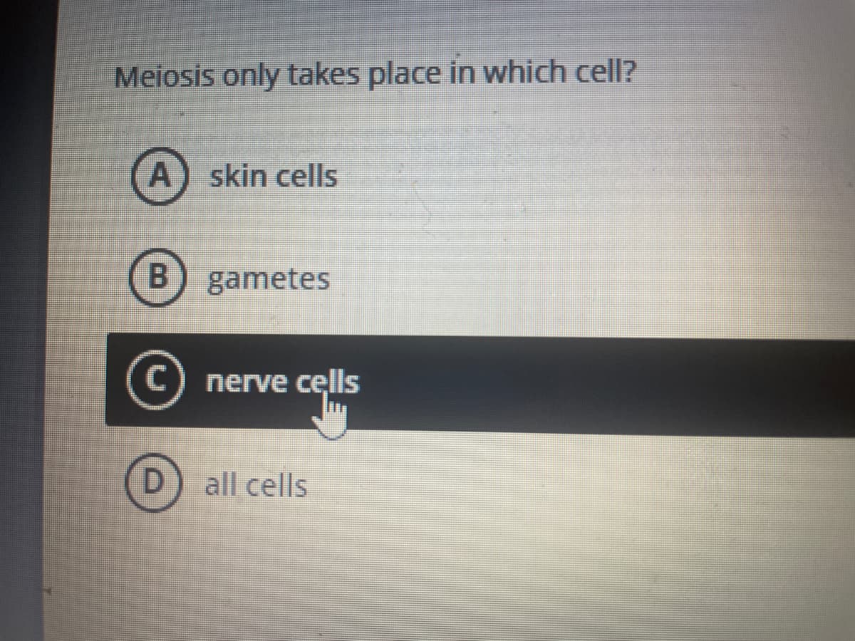 Meiosis only takes place in which cell?
A) skin cells
B) gametes
C
nerve cells
all cells
