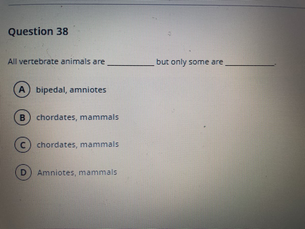 Question 38
All vertebrate animals are
bipedal, amniotes
ch ites, mammals
Ⓒ chordates, mammals
Amniotes, mammals
but only some are