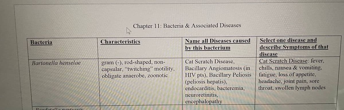 Chapter 11: Bacteria & Associated Diseases
Name all Diseases caused
by this bacterium
Bacteria
Characteristics
Select one disease and
describe Symptoms of that
disease
Cat Scratch Disease: fever,
chills, nausea & vomiting,
fatigue, loss of appetite,
headache, joint pain, sore
throat, swollen lymph nodes
Cat Scratch Disease,
gram (-), rod-shaped, non-
capsular, "twitching" motility,
obligate anaerobe, zoonotic
Bartonella henselae
Bacillary Angiomatosis (in
HIV pts), Bacillary Peliosis
(peliosis hepatis),
endocarditis, bacteremia,
neuroretinitis,
encephalopathy
Poudotalla nortussi
