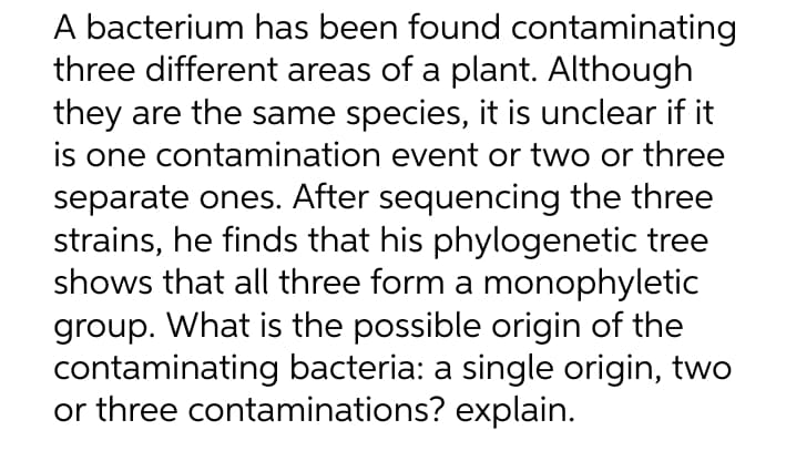 A bacterium has been found contaminating
three different areas of a plant. Although
they are the same species, it is unclear if it
is one contamination event or two or three
separate ones. After sequencing the three
strains, he finds that his phylogenetic tree
shows that all three form a monophyletic
group. What is the possible origin of the
contaminating bacteria: a single origin, two
or three contaminations? explain.
