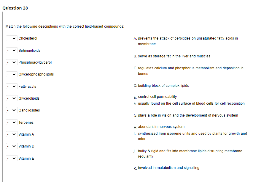 Question 28
Match the following descriptions with the correct lipid-based compounds:
Cholesterol
A. prevents the attack of peroxides on unsaturated fatty acids in
membrane
Sphingolipids
B. serve as storage fat in the liver and muscles
v Phosphoacylgycerol
C. regulates calcium and phosphorus metabolism and deposition in
Glycerophospholipids
bones
v Fatty acyls
D. building block of complex lipids
E. control cell permeability
F. usually found on the cell surface of blood cells for cell recognition
Glycerolipids
Gangliosides
G. plays a role in vision and the development of nervous system
Terpenes
H. abundant in nervous system
v Vitamin A
I. synthesized from isoprene units and used by plants for growth and
odor
v Vitamin D
J. bulky & rigid and fits into membrane lipids disrupting membrane
regularity
Vitamin E
K. involved in metabolism and signalling
