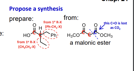 e:
Propose a synthesis
prepare:
from:
from 1° R-X
H (Ph-CH₂-X)
HO
from 1° R-X
(CH3CH2-X)
Ph
H3CO
this C=O is lost
as CO₂
OCH3
a malonic ester