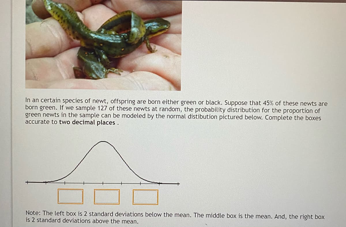In an certain species of newt, offspring are born either green or black. Suppose that 45% of these newts are
born green. If we sample 127 of these newts at random, the probability distribution for the proportion of
green newts in the sample can be modeled by the normal distibution pictured below. Complete the boxes
accurate to two decimal places .
Note: The left box is 2 standard deviations below the mean. The middle box is the mean. And, the right box
is 2 standard deviations above the mean.
