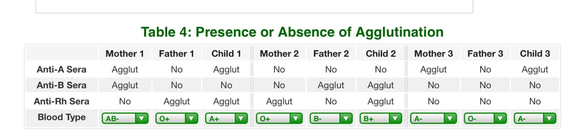 Table 4: Presence or Absence of Agglutination
Mother 1
Father 1
Child 1
Mother 2
Father 2
Child 2
Mother 3
Father 3
Child 3
Anti-A Sera
Agglut
No
Agglut
No
No
No
Agglut
No
Agglut
Anti-B Sera
Agglut
No
No
No
Agglut
Agglut
No
No
No
Anti-Rh Sera
No
Agglut
Agglut
Agglut
No
Agglut
No
No
No
Blood Type
AB-
O+
A+
0+
B-
B+
A-
O-
A-
