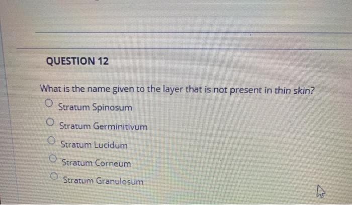 QUESTION 12
What is the name given to the layer that is not present in thin skin?
Stratum Spinosum
Stratum Germinitivum
Stratum Lucidum
Stratum Corneum
Stratum Granulosum
