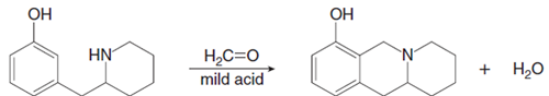 ОН
ОН
HN
H2C=O
mild acid
Н.о

